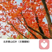 “每一朵花都有其芳香，其存在的意義就是以自我的方式綻放去詮釋生命的多彩和瑰麗，而非拋開本質去急功近利地爭取外在的贊美。”配圖