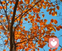 叛逆其實(shí)是一個(gè)信號(hào)，提醒你有些東西需要改變了。這并不代表只有孩子需要改變，有時(shí)候是整個(gè)家庭需要改變。夫妻雙方如果總是以指責(zé)和爭(zhēng)吵解決問(wèn)題，孩子就不會(huì)尊重自己和他人，這種創(chuàng)傷可能會(huì)導(dǎo)致一個(gè)人一生都沒(méi)有安全感和渴望愛(ài)。配圖