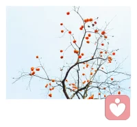 “如果妻子心里死結太多，你不去解還不讓說，你們的婚姻質量一定非常差。她會時不時心灰意冷怨氣沖天。傻男人才會一直讓妻子心里起疙瘩，聰明的男人應該不允許妻子心里有疙瘩。兩個人走一輩子，要邊走邊清理垃圾，這樣才能心無芥蒂，你愉我悅，而這需要換位思考的能力和直面難題的勇氣。”配圖