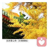 我們不能站在后來的高度，去評判當年的自己，這不公平。如果重來一次的話，以當時的心智和閱歷，還是會做出同樣的選擇。學會和自己和解吧，去接受每一個時期的自己。配圖