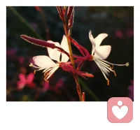 一個擁有獨立經濟能力和價值判斷的人，才能完成和原生家庭的分離。生活上，不再依賴原生家庭的照料；情感上，不再依賴原生家庭的準許。當你從物質到精神都能說了算，你才能擁有自己人生的最高支配權。配圖