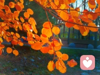 “墨菲定律——你越擔心一件事，它越容易發生?！毕朕D運，先轉念。一個心理強大的人，會把一件不順利的事當做偶然事件，不會為此憂心忡忡，而且會想：說不定這件事背后有其他的深意，是想讓我領悟到什么。你的起心動念越積極，你的內心能量就會越強，運氣就會越來越好。配圖