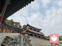 人在天賦上的差距沒有那么大，但最終的成就卻相去甚遠。除了境遇、運氣等，最根本的在于有些人走在了追求多巴胺的路上，而有些人選擇了內啡肽。配圖