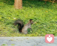 “當(dāng)一個(gè)人和另一個(gè)人在一起時(shí)，有種無(wú)拘無(wú)束的感覺(jué)，這種感覺(jué)就是愛(ài)。因?yàn)樵谶@個(gè)人面前，你不會(huì)自卑，也不用強(qiáng)行展示優(yōu)越感，能夠保持一個(gè)平和穩(wěn)定的自然狀態(tài)。這就是真正的愛(ài)。”配圖