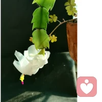 什么是无条件爱孩子这是我听过最赞的答案：
一、孩子屡屡出错，你没有勃然大怒，而是和孩子一起讨论出错的原因。
二、孩子失败，你没有嫌弃他“输不起”，还会鼓励他重拾信心，直到成功！
三、孩子说脏话，你没有骂他，而是告诉他，如果生气需要发泄，可以用其他的方式。
四、孩子撒谎，你不会上升到品质问题，而是看到孩子的无助，并告诉他犯错不可怕，比撒谎更好的解决方法是勇敢承担责任。
五、不会拿孩子和别人比，而是尊重孩子的个性，顺势而为，静候花开。
六、你不会轻易给他们贴上标签，而是接纳孩子的不
完美并关心他遇到了什么困难，观念出现了哪种偏差。
七、孩子打扰了别人，你没有把孩子打一顿，而是鼓励他去道歉，带他习得正确的行为方式。
八、孩子考了很低的分数，你没有失望，而是关心孩
子，选鼓励孩子把没有掌握的学会！配图