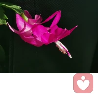 光照亮的地方，天使登台，恶魔退场。我们一起努力，找到心里的那道光。配图