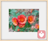 你不能干涉别人的人生，就算是为了对方好。配图