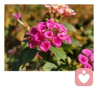 和孩子站在一起打败问题，而不是和问题一起打败孩子配图