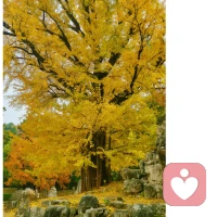 這世上沒有完美的原生家庭，但有不斷勇敢的我們。如果永遠對父母抱著問責的態度，陷入受害者情結，那么你會困在憤恨里無法長大。如果把希望寄托在父母的改變上，你會在逼父母認錯的執念中，浪費掉自己的一生。接受、和解、超越！配圖