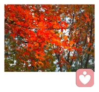 “童年不被满足，哭穷的环境，会让人自卑，长大后更难自立”。父母一味地“穷养”，给孩子不仅带来物质上的短缺，还有伴随一生的卑微。一味哭穷的父母，可能会让孩子形成错误的财富观，轻则唯利是图，重则不择手段。配图