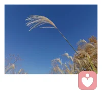 人生有两种活法，一种是“正确地活着”。所谓正确，是关注别人如何评价你，渴望自己是“好”的，不敢做叛逆的、与众不同的事情，表面上成了一个很好的人，其实内心严重虚弱。另一种活法，是按照自己的感觉活着。相对来说，这是一个更加需要勇气的活法。相信我本来的感觉是好的。这是非常个性化的，虽然你可能会感觉到孤单，也会有一些担心，但你会知道如何感知自己，这才是根本性的。配图