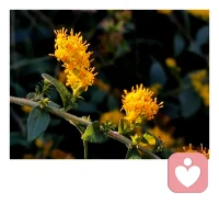 杨绛先生说：“岁月静好是片刻，一地鸡毛是日常。”再美好的爱情，到了婚姻里，也要面对琐碎的生活。配图