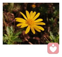 愛情的磨合，不能去要求對方一定要為你做些什么改變，而是彼此尊重對方的意愿，經(jīng)營出適合的關系。磨合需要時間，更需要彼此的信任和等待。在一次次的磨合中，暴露的問題被逐一化解，伴侶的需求被看見，構建出更牢固的安全感。配圖