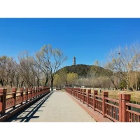 春養肝，肝氣如草木，宜抒發，不能壓抑。
春分，分晝夜，分寒暑。
在這草長鶯飛的日子，讓自己的心態跟隨明媚春光，也和前塵分開，且放下心頭舊事，開懷一笑。配圖