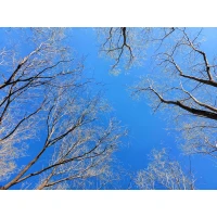 如果一個人在青春期感知到的自我是弱小而不受歡迎的，感知到的人際關系是冰冷而充滿惡意的，他自然就會陷入通過變強而得到關注與尊重的執念中。
感覺自己從未強過，才會逞強；從未以示弱的姿態與人鏈接過，才會將互相征服與碾壓認定為人際關系的唯一模式。配圖