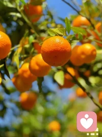 喚醒、療愈、創(chuàng)造的
三個(gè)階段：

第一個(gè)階段是喚醒你體內(nèi)原本具足的力量；

第二個(gè)階段是療愈你所有的創(chuàng)傷；

第三個(gè)階段就是見天地，見眾生，見自己。
?配圖