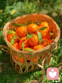 喚醒、療愈、創(chuàng)造的
三個(gè)階段：

第一個(gè)階段是喚醒你體內(nèi)原本具足的力量；

第二個(gè)階段是療愈你所有的創(chuàng)傷；

第三個(gè)階段就是見天地，見眾生，見自己。
?配圖