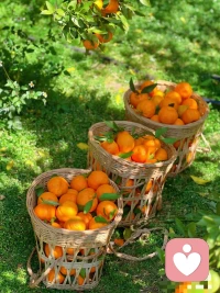 喚醒、療愈、創(chuàng)造的
三個(gè)階段：

第一個(gè)階段是喚醒你體內(nèi)原本具足的力量；

第二個(gè)階段是療愈你所有的創(chuàng)傷；

第三個(gè)階段就是見天地，見眾生，見自己。
?配圖