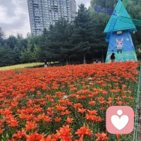 困住一個(gè)人的，從來(lái)不是年齡和身份，而是格局和觀念。
每個(gè)年紀(jì)，都是恰到好處的自己。趁未老，多經(jīng)歷！
花開(kāi)不是為了花落， 是為了綻放！ 生命不是為了活著， 是為了活得精彩！配圖