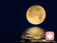 漫漫長夜，你和誰度過配圖