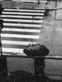 你那里下雨了嗎？配圖
