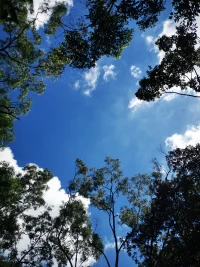 简单说说什么是心理咨询
     
       心理咨询是心理咨询师运用心理学的相关知识、理论和方法，帮助咨询对象缓解由于心理矛盾冲突所带来的情绪和行为困扰，维护和增进咨询者的身心健康，促进其个性发展和潜能开发的过程。
      心理咨询最一般、最主要的对象，是健康人群或存在心理问题的人群。        
        关于心理咨询师：有心理学相关的职称，具有一定的临床经验，帮助求助者解除心理问题的专业人员。
（注：如咨询师遇到自己的能力还达不到帮助求助者，会主动将求助者转介给适合的心理咨询师。心理咨询师要始终严格遵守保密的原则。）       
        关于来访者：指有适应上的问题需要得到心理援助的人。
      心理咨询包括一般心理问题、严重心理问题、部分神经症性心理问题以及精神病性问题。       
       良好的心理咨询首先是双方建立在信任的基础上，来访者向咨询师敞开心扉，咨询师才能真正了解来访者问题的根源。在咨询中，咨询师运用咨询技巧，把自己的共情传达给来访者，以影响来访者并取得反馈，咨询师采用适当的心理疗法，让来访者得到启发和帮助。
       简单的情绪问题一般需要三至五次的心理咨询；普通的心理问题的一般需要十次左右的心理咨询；比较严重的心理问题需要一个过程的心理咨询；非常严重的心理问题需要较长期的心理咨询。
        
       在心理咨询中的最忌讳以下几种情况：
       一、来访者不了解心理咨询，内心有顾虑不愿意敞开心扉。
       二、来访者不信任心理咨询师，不愿讲真话。
       三、来访者怀疑心理咨询师的能力，自行不断更换心理咨询师。
       四、来访者急于求成，希望咨询一二次就能解决自己的问题。
       五、来访者自认为自己的问题已解决而中途停止心理咨询。