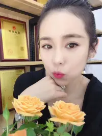 谁都没规定一朵花一定要长成向日葵或玫瑰
做你自己就好配图