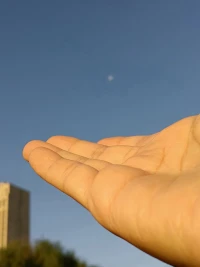 许多负面情绪，往往都与内心不接纳有关。归根结底还是不接纳那个不完美的自己。可是，完美原本就不存在，何必要那么对抗。清晨，阳光洒在操场上，张开手，将一轮朝阳和一弯残月捧在手心，接住日月，接纳此时此地当下拥有的一切，无论冬寒料峭还是春光乍泄，无论心情美丽还是灰色心境，尽管接纳它，静静地陪伴，觉察，感受。任何事物有来有回，冬去春来，四季更替，万事万物，规律可循，权当是一份馈赠。配图
