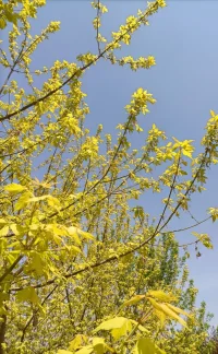 很治愈的一段話：佛說：覺得沮喪時，就摸摸你的肚臍眼，那曾是媽媽和你相連的地方，她闖過鬼門關生下了你，你怎么能覺得人間不值得呢？別低頭，你也曾被爸爸舉過頭頂；別卑微，你也是媽媽拼命想要生下來的寶貝；別自暴自棄，你身上有幾百萬個細胞為你而活；從你出生起，你就不是一個人在奮斗，你有家人，有孩子，有愛人，還有那幾百萬的細胞，要知道，細胞也是有生命的啊，如果你死了，幾百萬的生命也死了。擦干眼淚，抹掉汗水，穿上好看的衣服，就讓咱們人模狗樣的去討生活吧！配圖