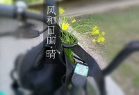 親愛的，每個人的內心都充滿著對溫暖和愛的渴望，如果你感到了他人的冷漠、隔離和冰冷，是因為他自己本身就缺乏被關懷和愛的溫暖，自顧不暇。所以，不要怪罪他人，把精力用在如何給予自己溫暖上。——海藍博士配圖