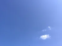 天空湛藍，如水洗一樣，漂浮著幾朵白云。鳥兒在枝頭歡唱，草地上的小花小草吐露芬芳。動植物的這些小生靈們，無關大小高低，也不在意有無觀賞，只管盡情嬉戲綻放，在有限的生命里煥發出無限旺盛的生命力。配圖