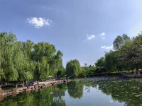 天空湛藍，如水洗一樣，漂浮著幾朵白云。鳥兒在枝頭歡唱，草地上的小花小草吐露芬芳。動植物的這些小生靈們，無關大小高低，也不在意有無觀賞，只管盡情嬉戲綻放，在有限的生命里煥發出無限旺盛的生命力。配圖