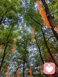 親子發(fā)生沖突的時候，父母最委屈的是什么？

我給他設(shè)計的是最好的道路，我給了他最好的東西，為什么他就不肯要？為什么他就要犯那個錯誤，去嘗試那個錯誤？

我回答家長：年輕最大的資本是可以犯錯誤，你就讓他錯一次。他無非就是想做這件事情，也許你覺得這不是最好的選擇，但這是他的選擇。我寧可選擇一個自己想要的選擇，而不是別人給我安排的最好的選擇。你越是安排得多，越是控制得多，他越反感，越覺得這不是我的生命，也不是我的生活，我可以隨時不要它。

一個人要有很多支撐自己的東西，除了學(xué)習(xí)成績以外，人際關(guān)系、體育、勞動、朋友，這都是人生巨大的財富。假如所有這些東西都不重要，重要的只是分?jǐn)?shù)，我們就把自己路走窄了。——徐凱文

給孩子試錯的機(jī)會，孩子將來才不會犯更大的錯。作為家長的您，是怎么處理親子關(guān)系的呢？不妨可以跟我聊聊～～配圖