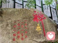 “除非身體帶給你的痛苦之外，別的痛苦都是你的價值觀帶給你的，而非真正存在的”。

無論你正在經歷什么，想不通就別逼自己去想。允許付出沒有回報，允許犯錯，允許事與愿違，就是不允許自己跟自己較勁。所有的事情冥冥之中自有安排。調整心態，與自己和解。配圖