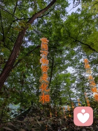 花会开，是因为待在能开花的环境里”

人也一样，如果某些环境日久不能带给您自身价值，无论是物质价值还是情绪价值，那么，这个环境就不适合你。与其抱怨不满抑郁惆怅，莫不如静下来沉淀自己，调整自己，另辟蹊径，也许就是一片天地。配图