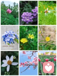 “把时间分给睡眠,分给书籍,分给运动,分给花鸟树木、山川湖海,分给你对这个世界的热爱,而不是浪费在无聊的人和事上。当你开始做时间的主人,你会感受到平淡生活中喷涌而出的平静的力量,至于那些焦虑与不安,自然烟消云散。”——人民日报。世界有多美好,取决于你有多爱自己。