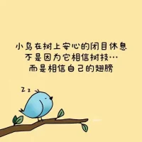 小鳥在樹上安心的閉目休息，不是因為它相信樹枝…而是相信自己的翅膀。配圖