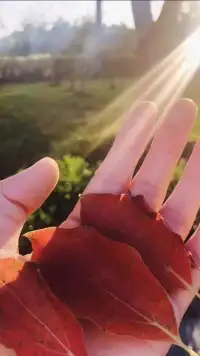 再好的文案
都無法詮釋母愛的偉大
讓她少操心
就是最大的孝順

祝?福
全天下的媽媽
母親節快樂配圖