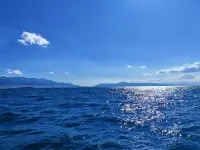 心理醫生說：一定要珍惜你身體尚存的欲望，想去的地方，想吃的東 西和想見的人。因為你不知道哪一天這些突然就不想要了！那些看似普通的渴望，其實是生命系統的健康指標，真正的衰老不是年齡的衰老，而是你內心不在為任何事情提起興趣。配圖