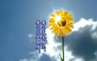 早安????
向陽而生，逐光而行。
溫柔歲月，不負時光[咖啡]配圖