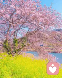 【生活感悟】
?善良是一種能力，
?而不是簡單的意愿。
?
?沒有能力的善良是懦弱，
?會引來無盡的煩惱。配圖
