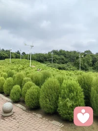 壞事還沒發生就提前焦慮
相當于你遭遇了兩次壞事哦
事后還一直想的話
相當于遭遇了三次配圖