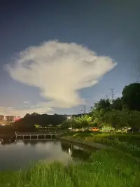 一些事，笑笑就好，萬事不必說透，裝不知道也是一種體面。