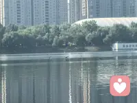 當你秉持著善意，外在投射的一切都是美好的！
?
每次路過小公園，都要進去走一走，鬧中取靜的地方真的是城市給得饋贈！

一路上滿眼綠色，隨處可以聽見鳥鳴，聞見花香，還時不時有小松鼠吸引眼球…

你看，?當你秉持著善意，所愿所見，所行所現(xiàn)的一切，皆是美好的！
?配圖