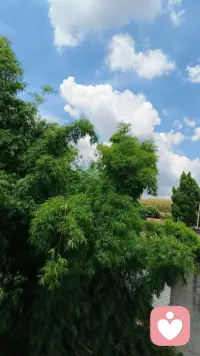 [調皮]世上最美的風景，就在你的臉上。配圖