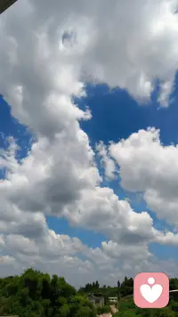 ??用一縷陽光的早安?
??點(diǎn)亮今日份好心情～??
??～Morning～??～配圖