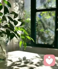 ??人所有的負面情緒，都是來源于跟真相爭辯。
     
??配圖