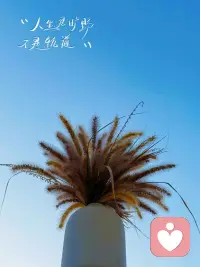 事情壓不垮人
但對(duì)事情的執(zhí)念可以
思維是牢籠，亦是出口??配圖