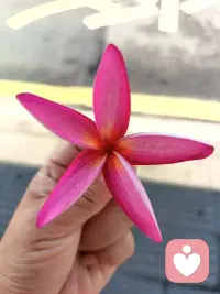 背后論人長短
看似議論的是別人
實則消耗的是自己的口碑哦??配圖