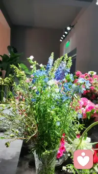 時光且長，一切都來得及

不要著急，
最好的總會在最不經意的時候出現。

很多人的焦慮，都與“害怕來不及”有關。害怕來不及想清楚自己要什么，便年輕不再了；害怕來不及確定戀愛的感覺，對方便轉移下一目標了；害怕來不及盡孝于身前，親人便離去了；害怕來不及瀟灑活過，身體便垮下了。我們害怕一切都來不及，總想著要明白充實地過活，今天便不在了。

害怕來不及，我們便越發忙碌，沉浸在忙碌中，會暫時忘記焦慮。可一旦閑下來，空虛、無聊攜帶著焦慮洶涌而來，有些人用繼續忙碌去招架，有些人則陷入迷茫與困惑。我們焦慮的究竟是什么？

此刻不清楚自己要什么，可你依舊在行動，行動便會帶來結果，面對結果時的喜悅或是無感，能檢驗這是不是你所想要的。愛情的獲得，家人、健康的失去，都有一個時間的歷程，你珍惜了點滴，做好了細節，自然會有所收獲。

“害怕來不及”不能成為不作為的借口，亦無須當作異常忙碌的雞血，想要過好每一天，不如讓今天充實。畢竟，漫長的歲月，都是由無數個“今天”堆砌而成。